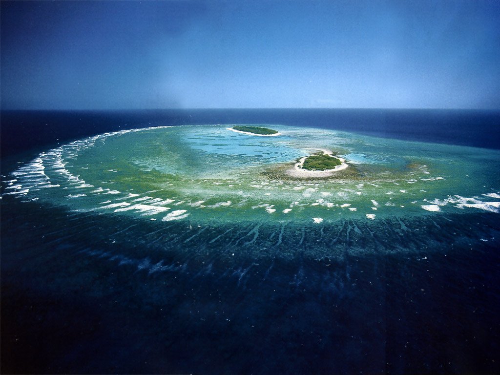 Coral Barrier Reef