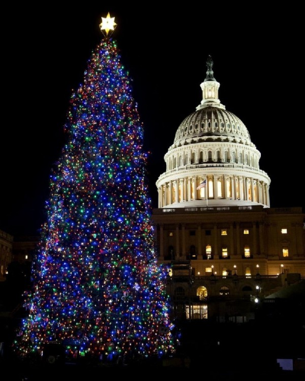 christmas trees designs around the world xcitefun net christmas trees designs around the world xcitefun net