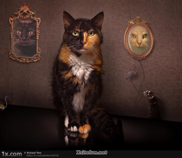 Animals In Fashion Now