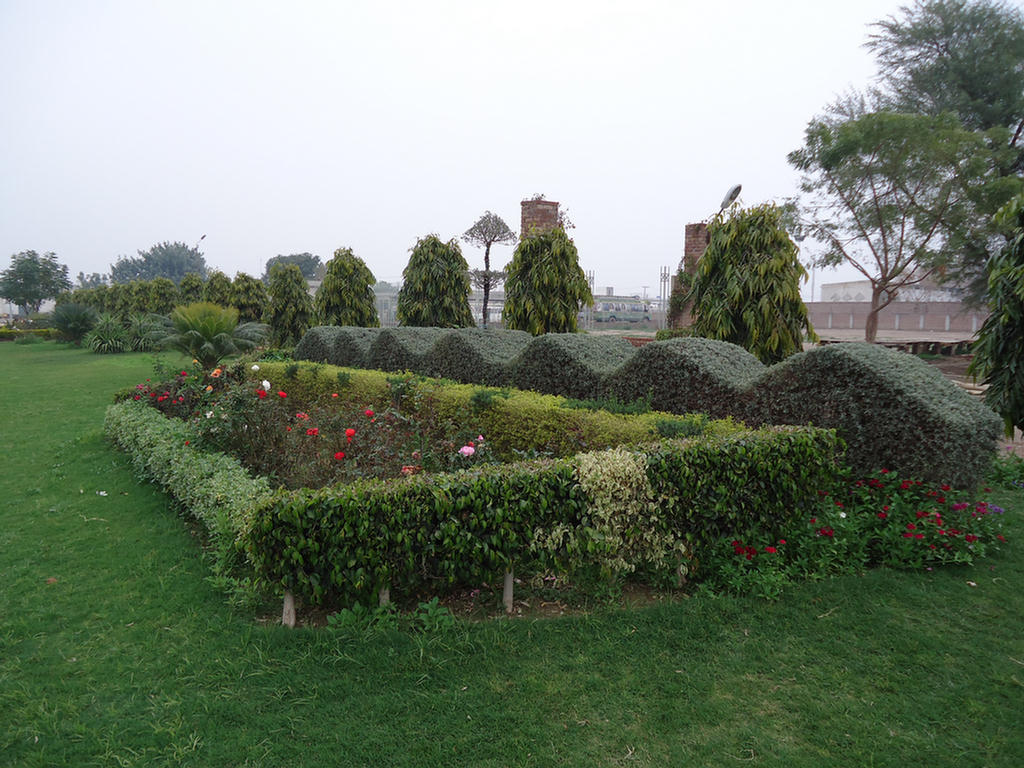 Beautiful Garden In Our Factory