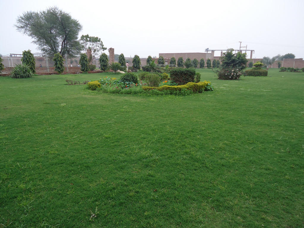 Beautiful Garden In Our Factory
