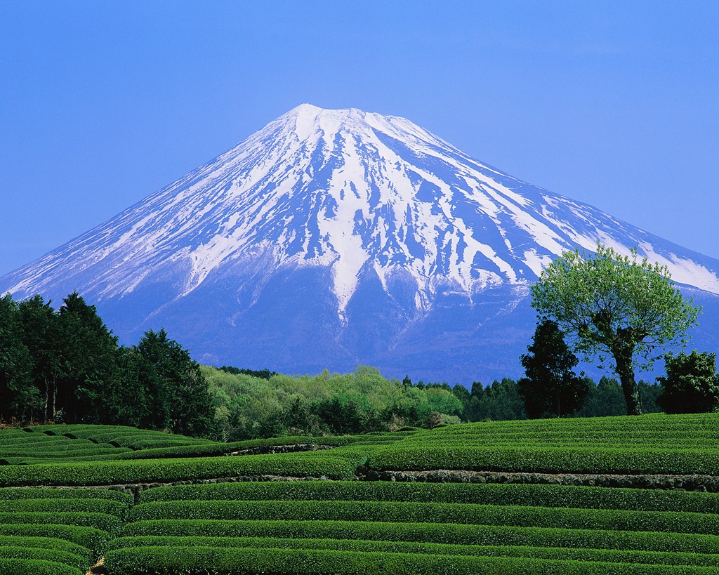 Mount Fuji Meaning In Tamil