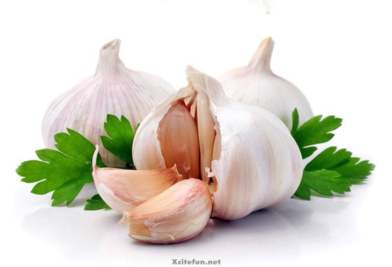 Garlic Medical Benefits For Health