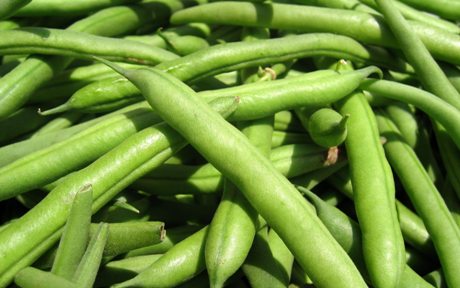 Top 10 Healthiest Foods In The World Top 10 Healthiest Foods In The World