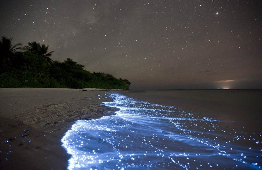 Glowing Beach of Maldives