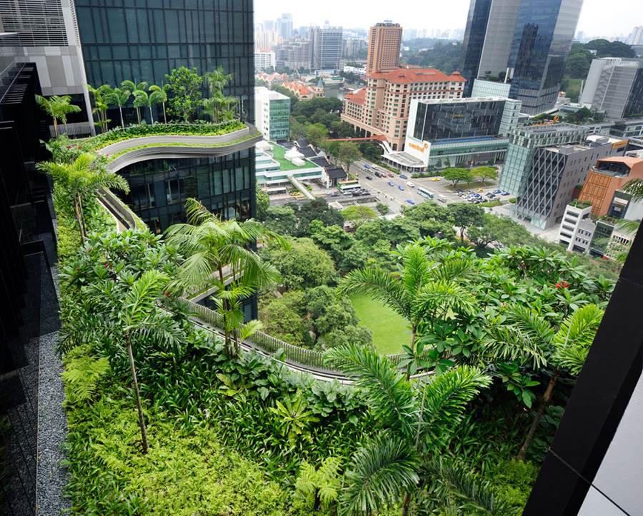 PARKROYAL Sky Gardens Singapore