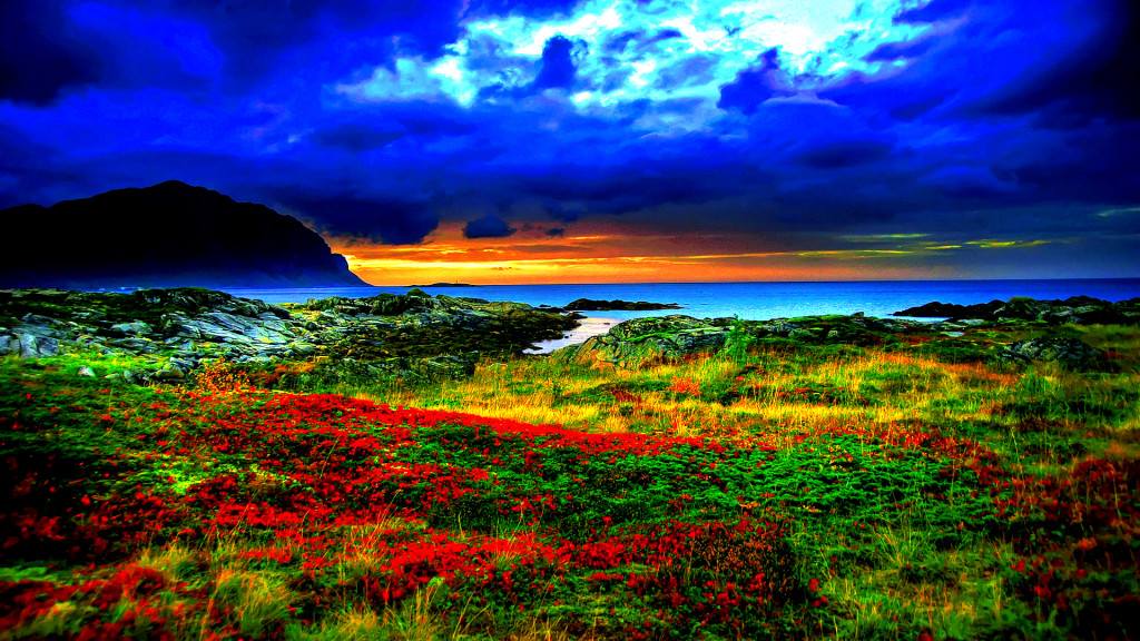 Beautiful Colorful Nature - XciteFun.net