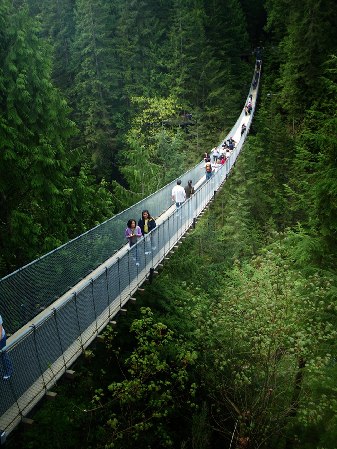 capilano-suspension-bridge-canada-images-n-detail-xcitefun