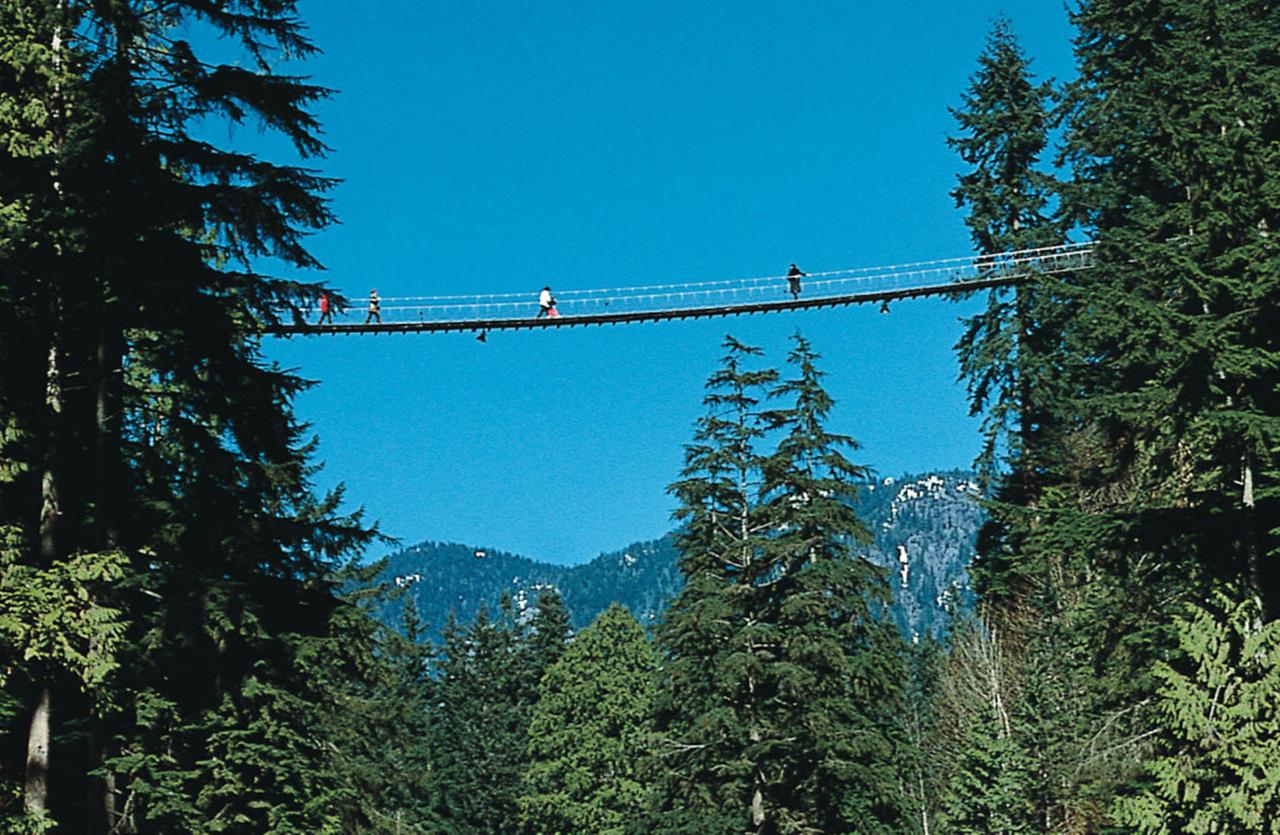 Capilano Suspension Bridge Canada Amazing Pictures In detail