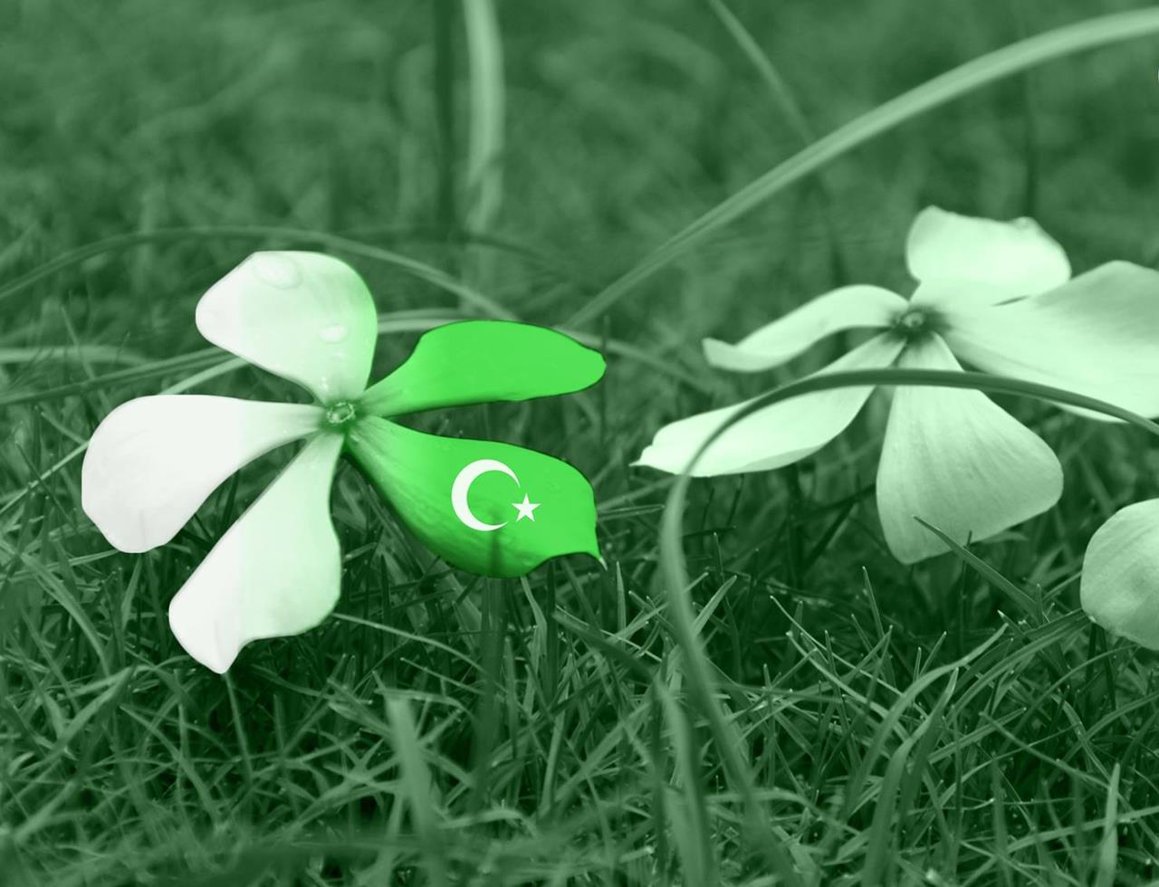 Happy Independence Day Pakistan New Wallpapers 2014