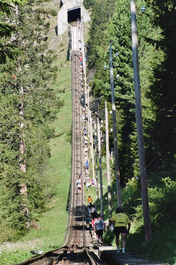 World's Longest Staircase Race - Niesenlauf Switzerland - XciteFun.net