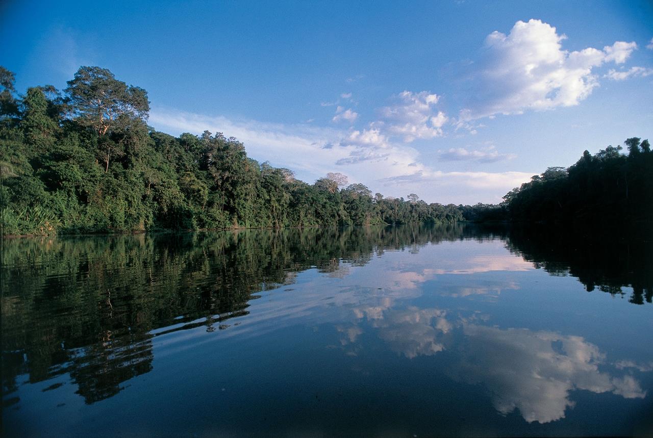 Amazon River - Brazil Travel Guide - Virtual University of Pakistan