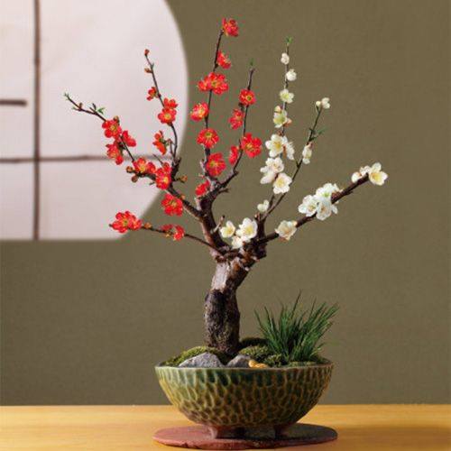 Bonsai - Page 2 365998,xcitefun-cherry-blossom-bonsai-7