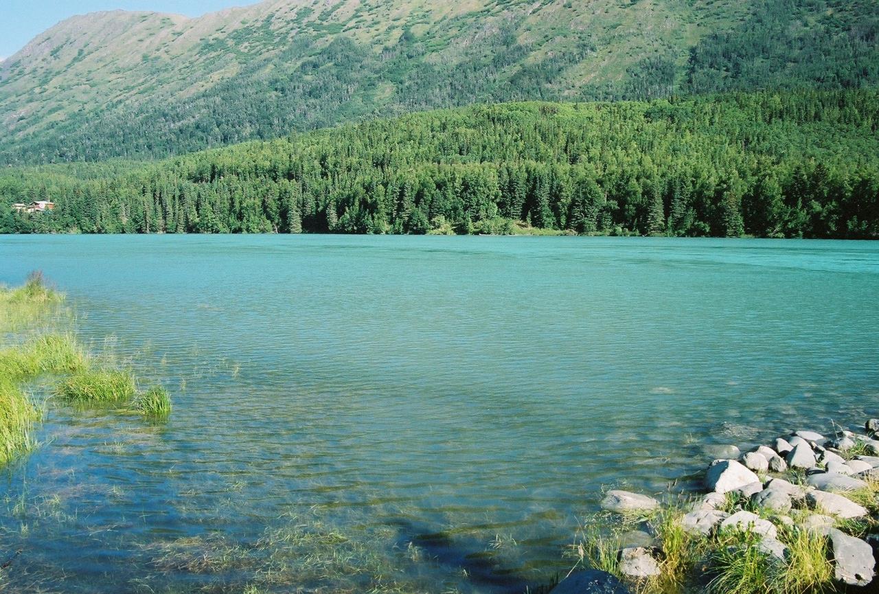 travel-guide-to-kenai-river-alaska-xcitefun