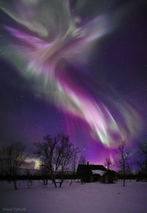 Amazing Purple Aurora Borealis
