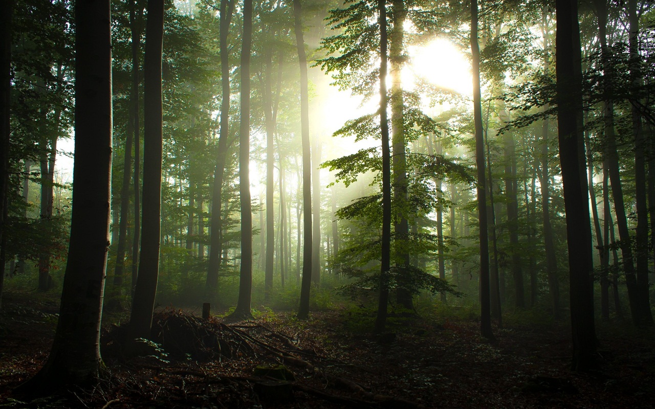 Visit To Black Forest Germany