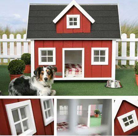 Kućice za kuce - Page 7 375741,xcitefun-dogs-home-designs-2