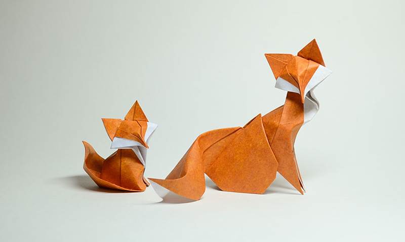 Origami - Page 25 379775,xcitefun-folding-paper-1