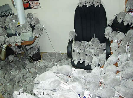 4088,xcitefun-office-prank-5.jpg
