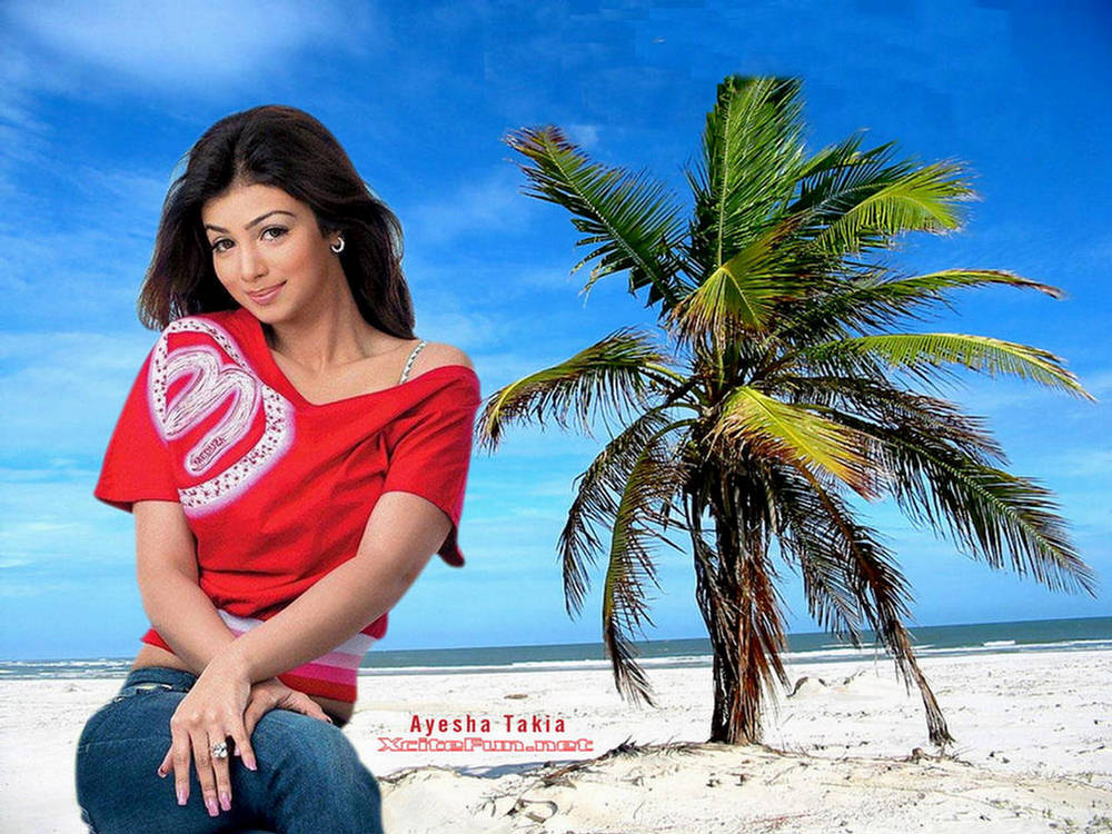 Roly-Poly Ayesha Takia Glamourous HQ Wallpapers.