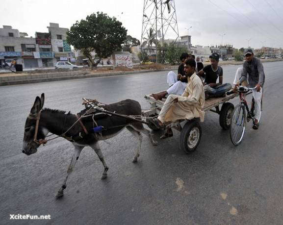 Transport In Pakistan Xcitefun Net Transport In Pakistan Xcitefun Net