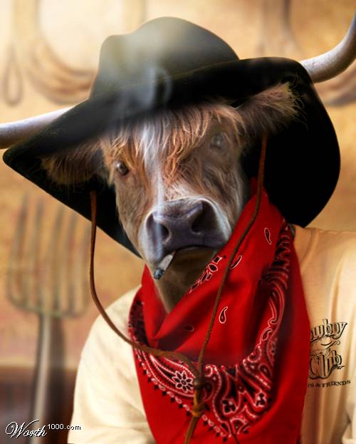 Смешной ковбой. Корова в шляпе. Бык в шляпе. Смешной бык. Ковбой на корове.