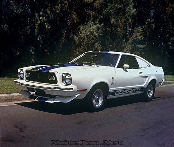 Ford Mustang: Pony-Car Revolution - Photo Gallery - XciteFun.net