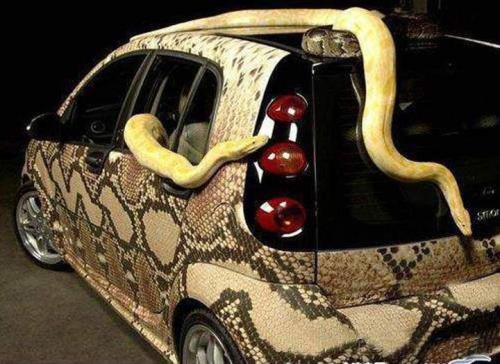 Snake Car - XciteFun.net