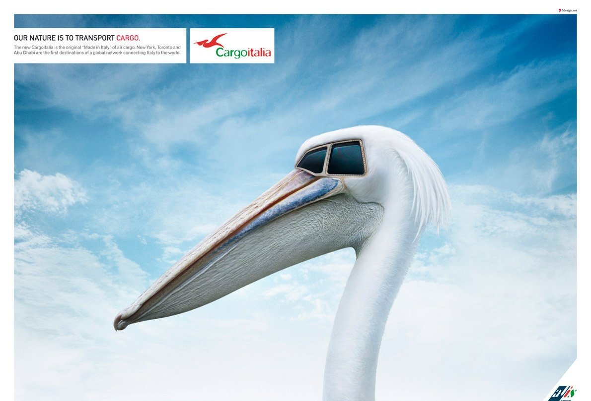Amazing ADS --- (Part 2) - XciteFun.net