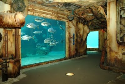 7 Most Amazing Aquariums Around The World