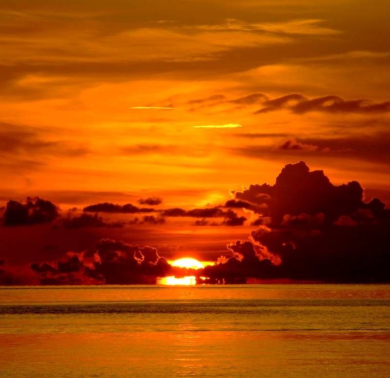 107222,xcitefun-maldive-2008-olhuveli-296.jpg