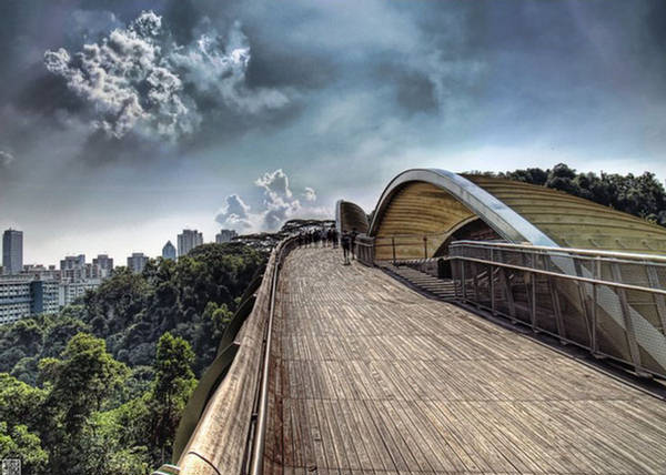 Henderson Wave:Highest Pedestrian Bridge-Singapore