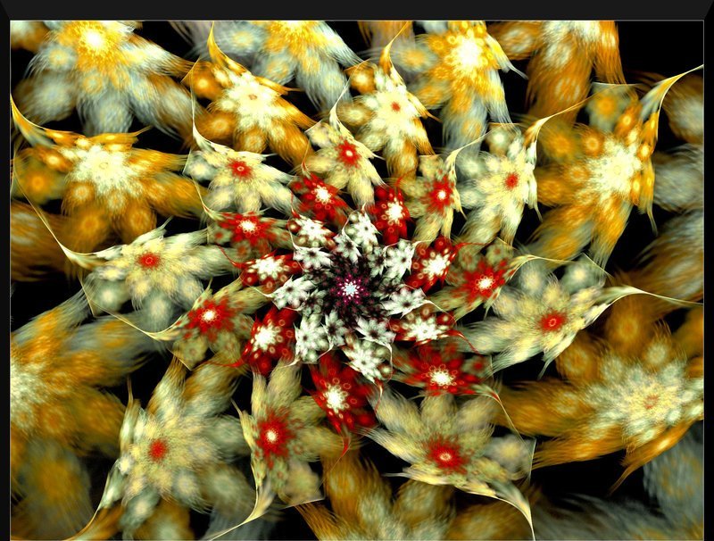 Flowers in FRACTALS - XciteFun.net