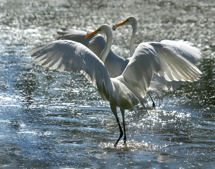 FLYING BEAUTY AROUND THE WORLD---40 PICTURE - XciteFun.net