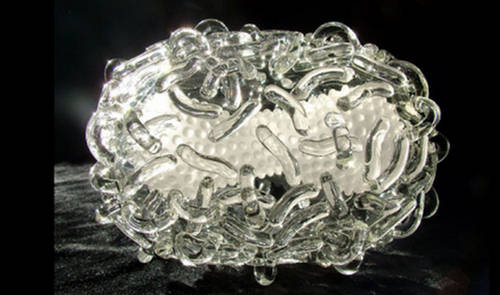 Know Your Germs - Glass Sculptures of Germs - XciteFun.net