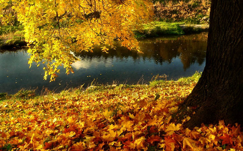 Autumn By Poolside - Rushing Rivers - XciteFun.net