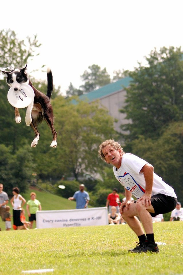My dog can fly. Летающая собака. Летающая собака фото. Фото смешных летающих собак. Вило приключение летающего пса.
