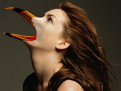142305,xcitefun-awesome-photoshopped-photos-9.jpg