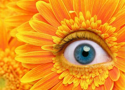 142306,xcitefun-awesome-photoshopped-photos-8.jpg