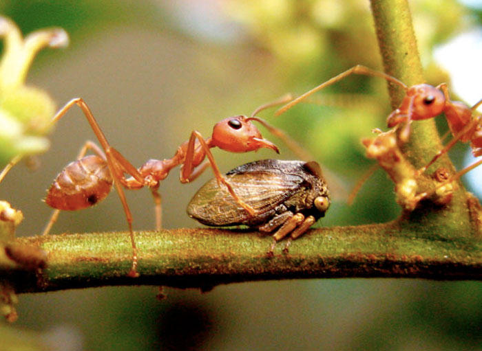 143668,xcitefun-animal-world-cute-actions-9.jpg