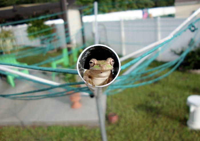 143669,xcitefun-animal-world-cute-actions-8.jpg