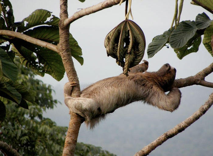 143673,xcitefun-animal-world-cute-actions-4.jpg