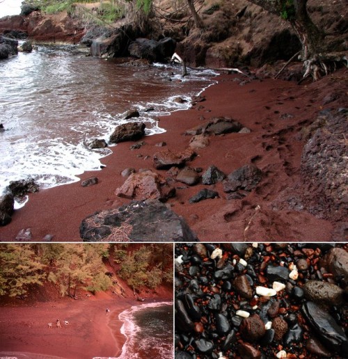144095,xcitefun-5-strangely-coloured-beaches-005.jpg