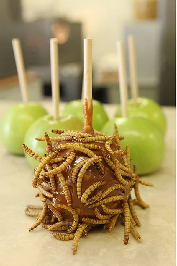 HOTLIX Lollipops - Crunchy Insect Candy - XciteFun.net