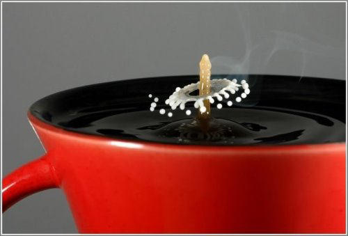 148723,xcitefun-high-speed-photography-of-milk-drops-8-.jpg