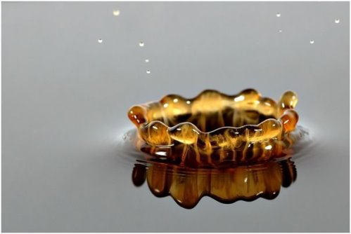 148724,xcitefun-high-speed-photography-of-milk-drops-7-.jpg