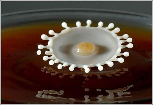  High  Speed  Photography  of Milk  Drops XciteFun net