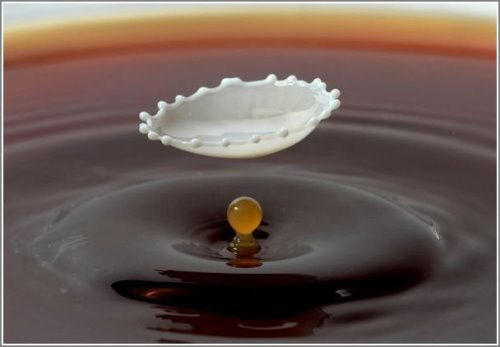 148727,xcitefun-high-speed-photography-of-milk-drops-4-.jpg
