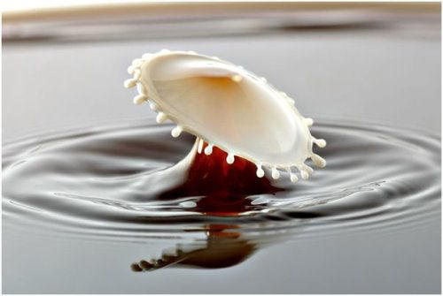148729,xcitefun-high-speed-photography-of-milk-drops-2-.jpg