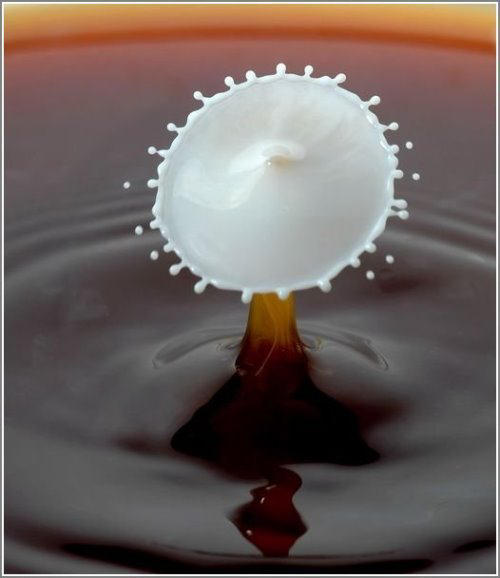  High  Speed  Photography  of Milk  Drops XciteFun net